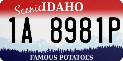 ID license plate 1A8981P
