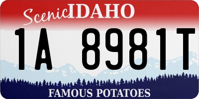 ID license plate 1A8981T
