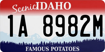 ID license plate 1A8982M