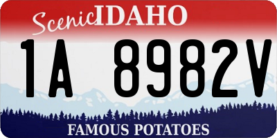 ID license plate 1A8982V
