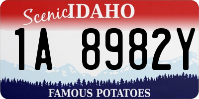 ID license plate 1A8982Y