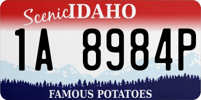 ID license plate 1A8984P