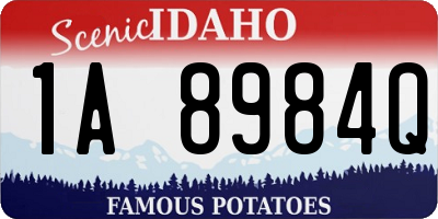 ID license plate 1A8984Q