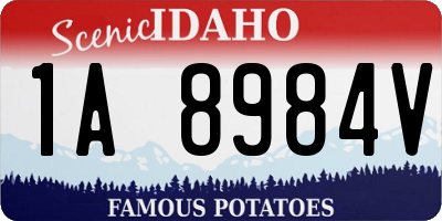ID license plate 1A8984V