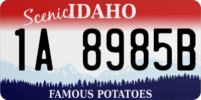 ID license plate 1A8985B