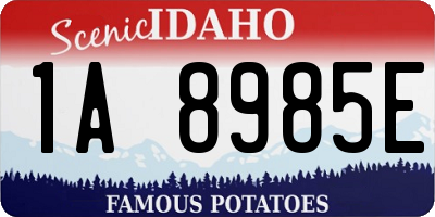 ID license plate 1A8985E