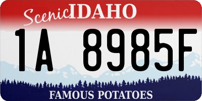 ID license plate 1A8985F