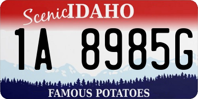 ID license plate 1A8985G