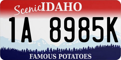 ID license plate 1A8985K
