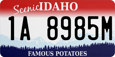 ID license plate 1A8985M