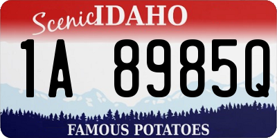 ID license plate 1A8985Q