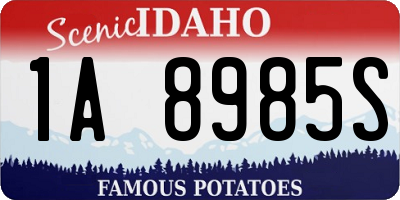 ID license plate 1A8985S