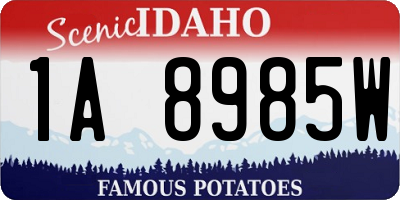 ID license plate 1A8985W