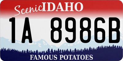 ID license plate 1A8986B