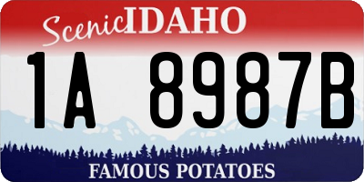 ID license plate 1A8987B