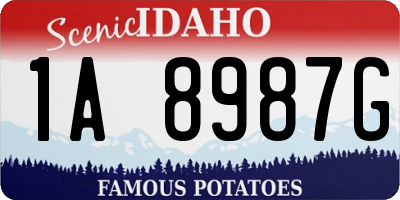 ID license plate 1A8987G