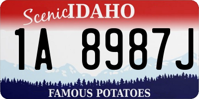 ID license plate 1A8987J