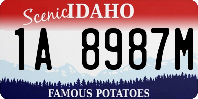 ID license plate 1A8987M