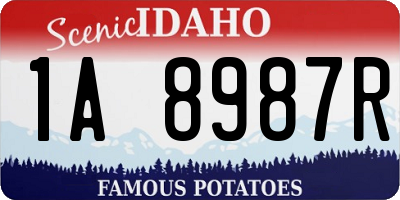 ID license plate 1A8987R