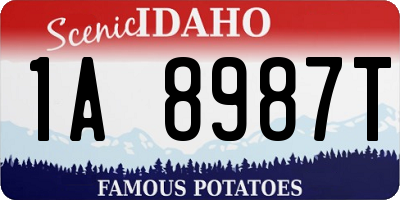ID license plate 1A8987T