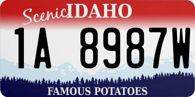 ID license plate 1A8987W