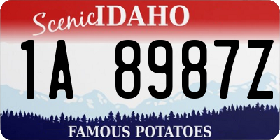 ID license plate 1A8987Z