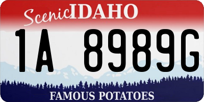 ID license plate 1A8989G