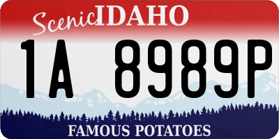 ID license plate 1A8989P