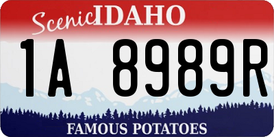 ID license plate 1A8989R