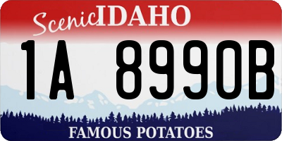 ID license plate 1A8990B