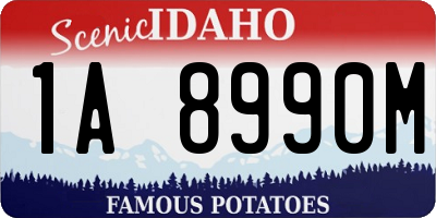 ID license plate 1A8990M
