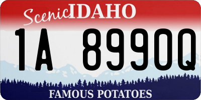 ID license plate 1A8990Q