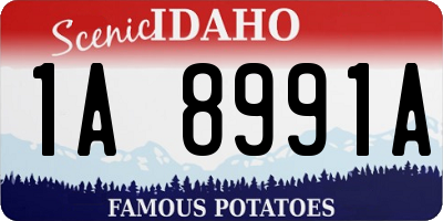 ID license plate 1A8991A