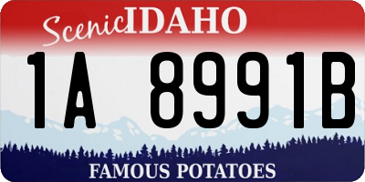 ID license plate 1A8991B