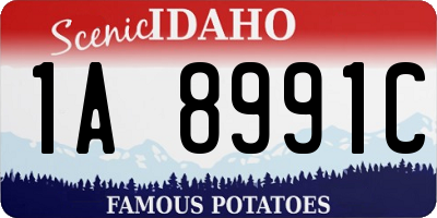 ID license plate 1A8991C