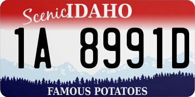 ID license plate 1A8991D
