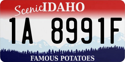 ID license plate 1A8991F