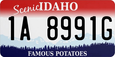 ID license plate 1A8991G