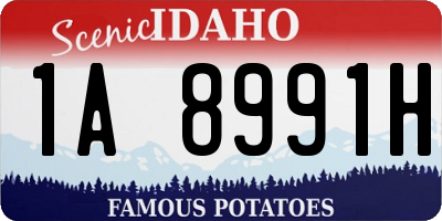 ID license plate 1A8991H