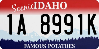 ID license plate 1A8991K