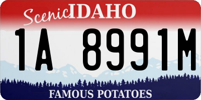ID license plate 1A8991M