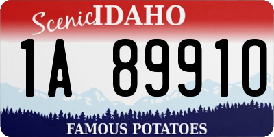 ID license plate 1A8991O