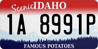 ID license plate 1A8991P