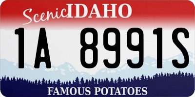 ID license plate 1A8991S