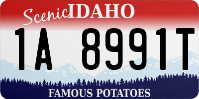 ID license plate 1A8991T