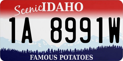 ID license plate 1A8991W