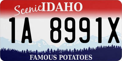 ID license plate 1A8991X