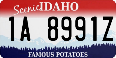 ID license plate 1A8991Z