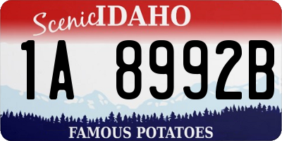 ID license plate 1A8992B