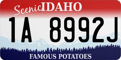 ID license plate 1A8992J